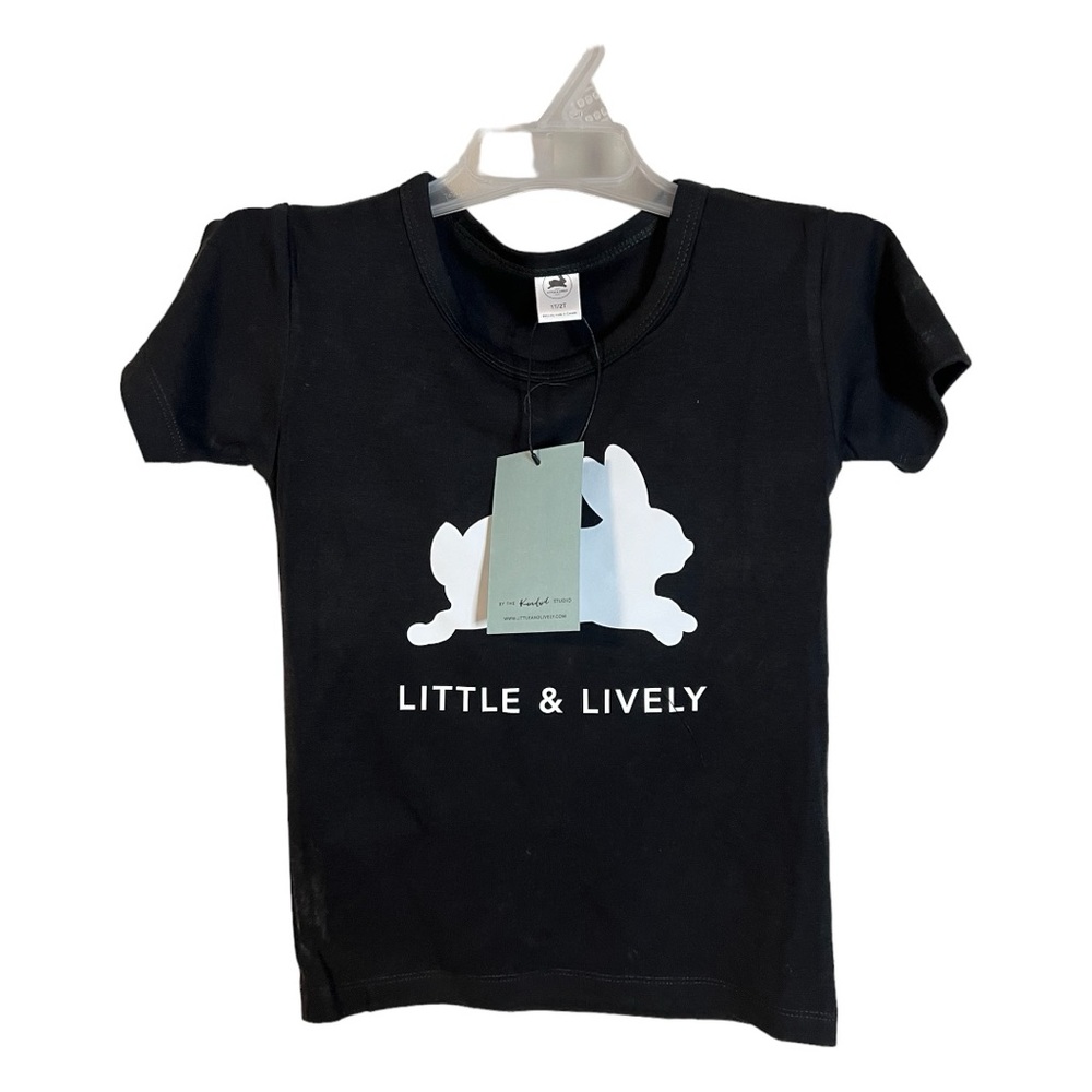 Little & Lively boys T-shirts in size 1-2 T ( 3 pk )
